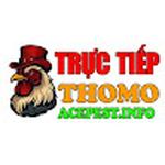 ĐÁ GÀ TRỰC TIẾP THOMO HÔM NAY
