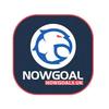 Now Goal