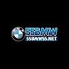BMW55
