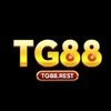 nhà cái tg88
