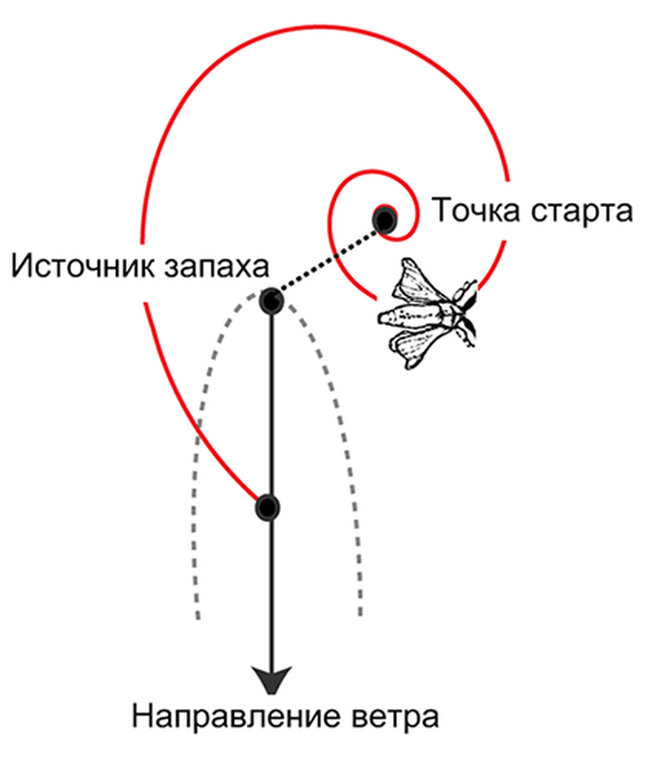 Ускользающая нить