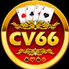 CV66 BD