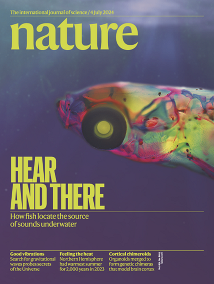 SciNat за июль 2024 #1: далеко ли до чтения мыслей, новые теории о мигрени, новые причины «длительного COVID»