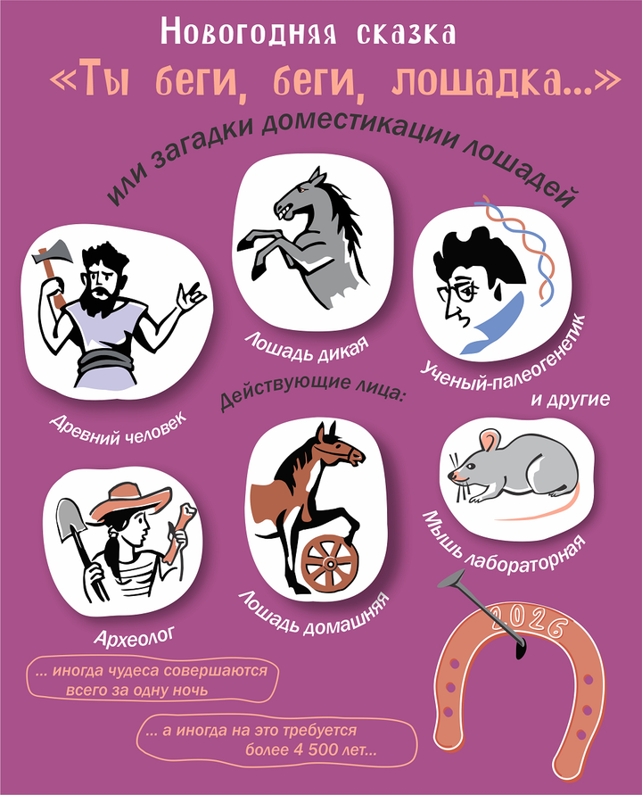 Ты беги, беги, лошадка