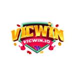 VICWIN IO