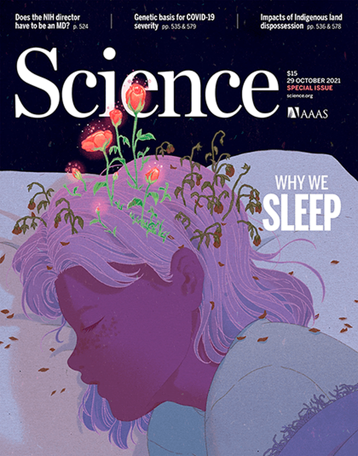 SciNat за октябрь 2021 #5: сверхэффективный антибиотик, где находятся воспоминания и к чему приводит недостаток сна