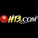 H13