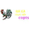 Đá Gà Trực Tiếp Thomo Đá Gà Cựa Dao