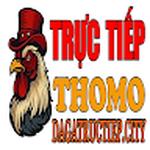 ĐÁ GÀ TRỰC TIẾP