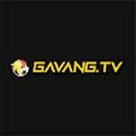gavangtv llc