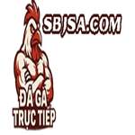 ĐÁ GÀ TRỰC TIẾP