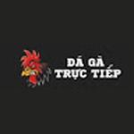 Đá Gà Trực Tiếp