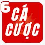 Trangcacuocbongda6 jpnet