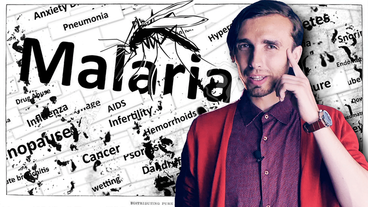 Малярия. «Болотная лихорадка» тогда и сейчас