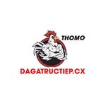 ĐÁ GÀ TRỰC TIẾP CX