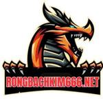 rongbachkim666 net