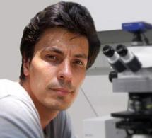 6-й семинар Future Biotech: «Строение мельчайших насекомых и пределы миниатюризации животных»