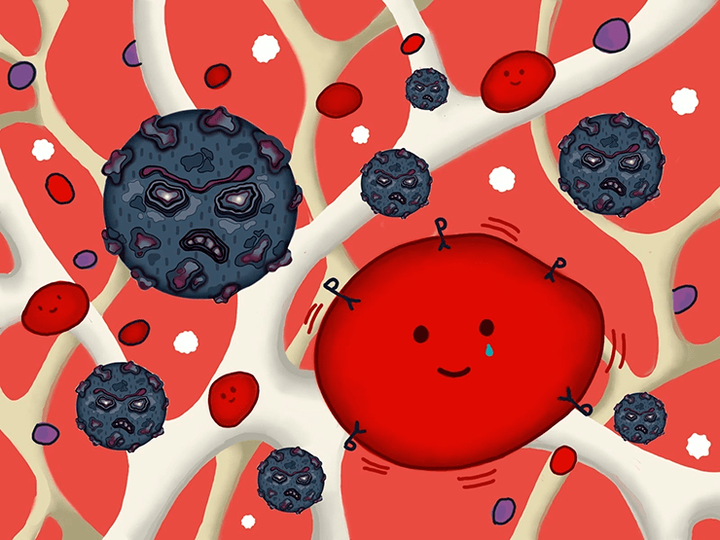 Парвовирус — мастер маскировки