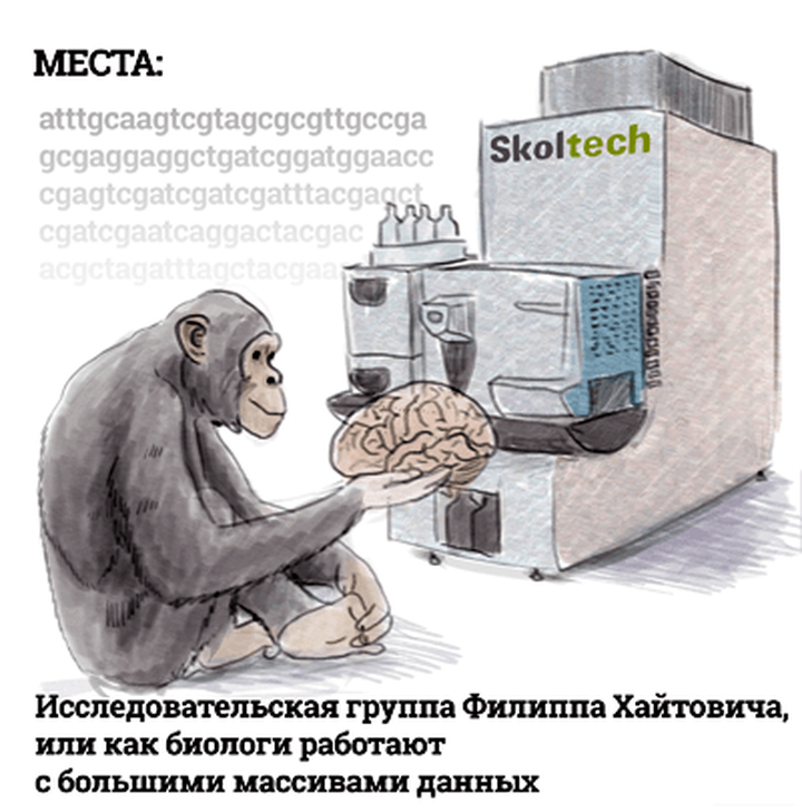 Исследовательская группа Филиппа Хайтовича, или Как биологи работают с большими массивами данных