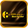 888B netvc