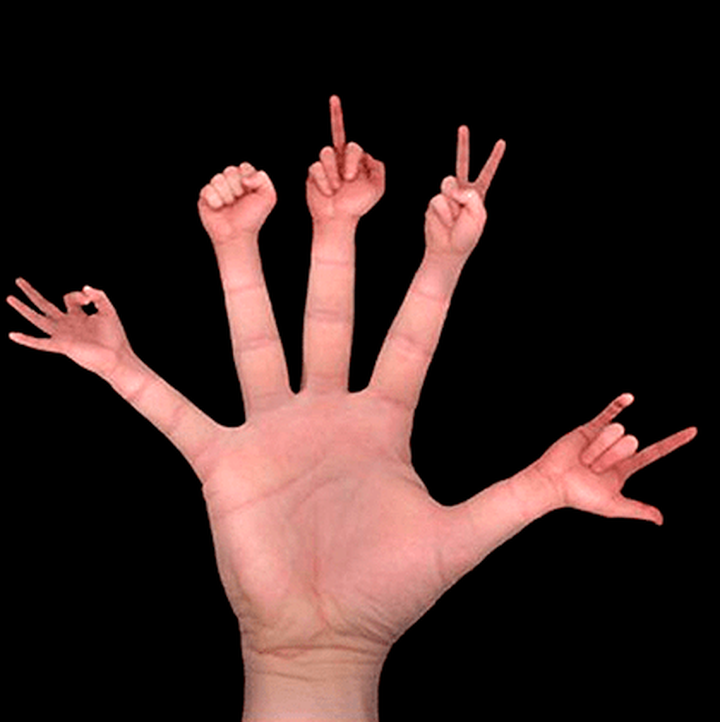 Наследники клеток HeLa