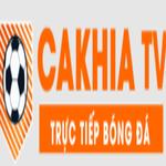 indigenascovid19.red is fake