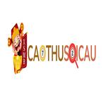 Cao Thủ Soi Cầu