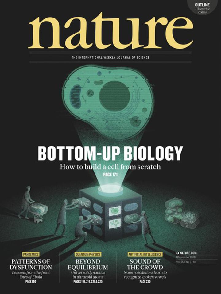 SciNat за ноябрь 2018 #2: наскальная живопись, американская история и генетическая конфиденциальность