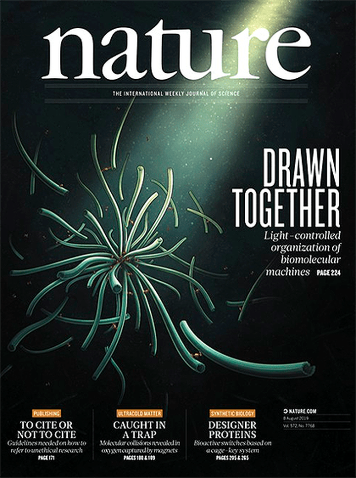 SciNat за август 2019 #2: покорители вершин, засыхающая (?) Африка и визуальный обман