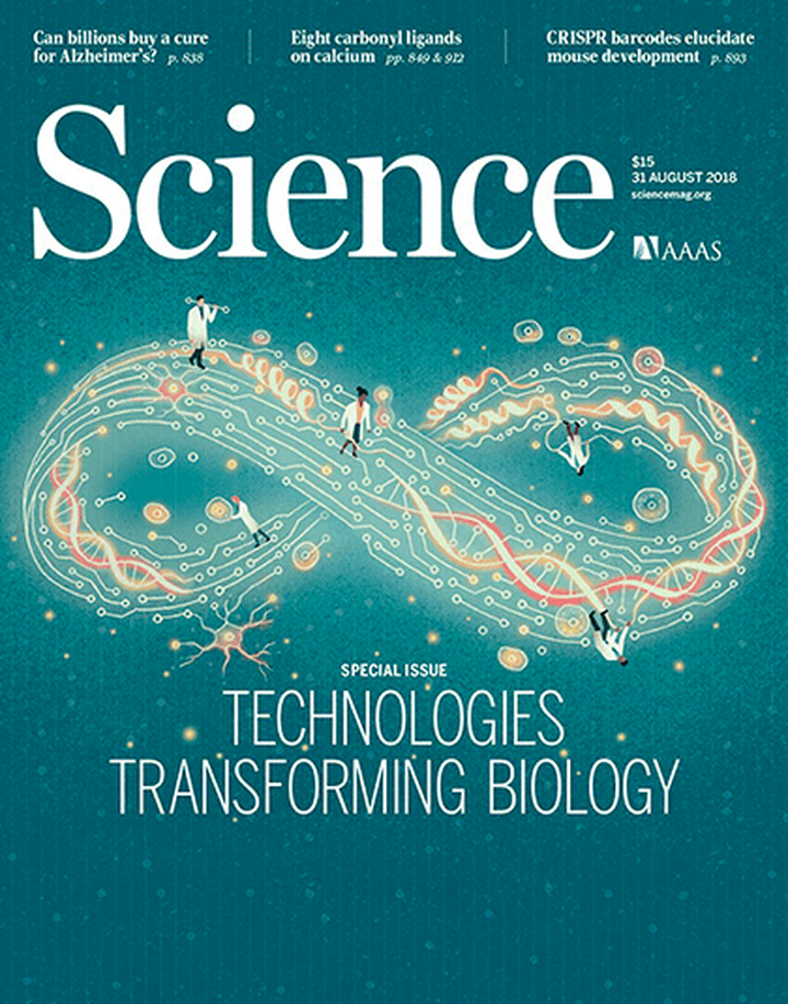 SciNat за сентябрь 2018 #1: тайны кладки звероящеров, излечение собак от миодистрофии Дюшенна и половая дифференциация нервной системы