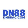 dn8802 com