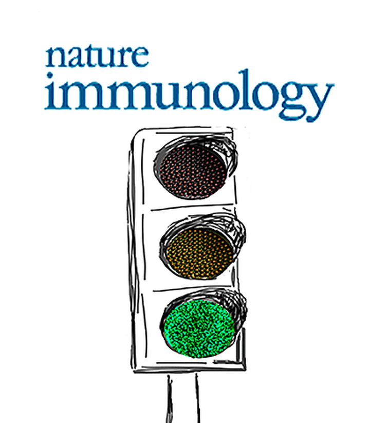 ДНК-полимераза как регулятор иммунитета. История одного открытия из первых рук