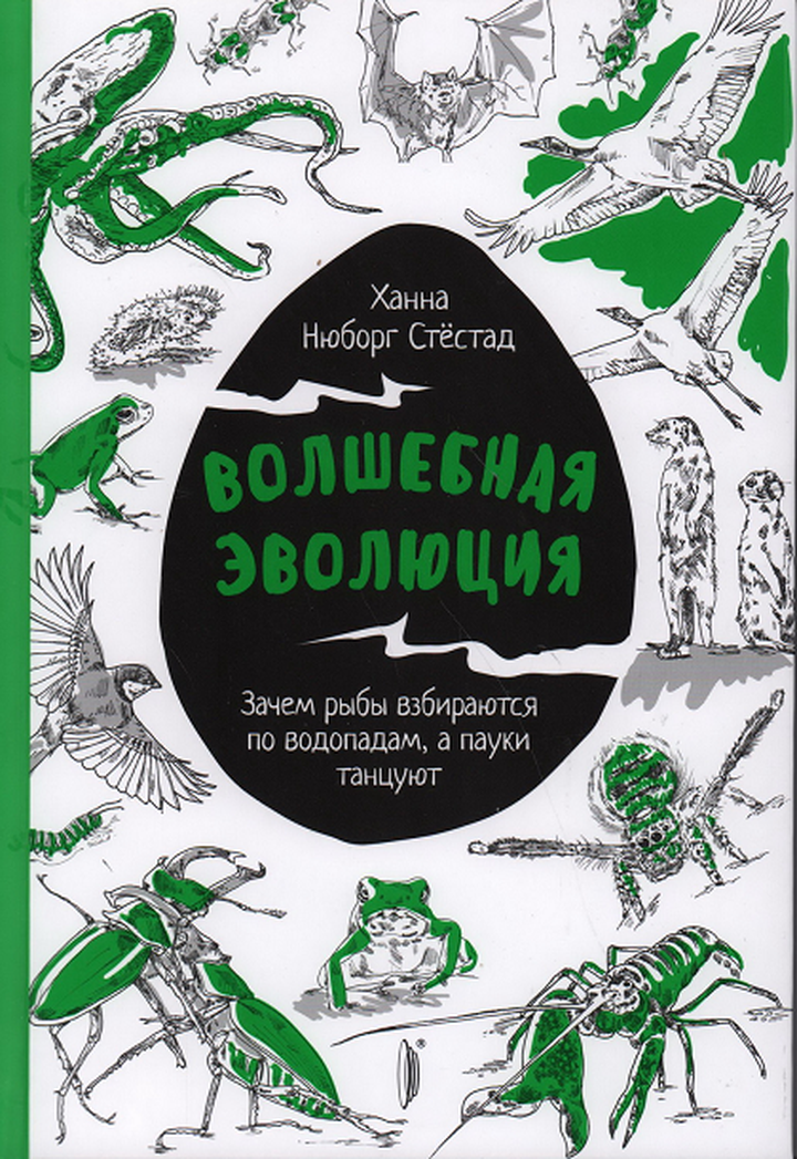 Ханна Нюборг Стёстадт: «Волшебная эволюция». Рецензия