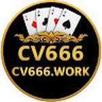 CV666 WORK