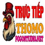 ĐÁ GÀ TRỰC TIẾP THOMO HÔM NAY TẠI CAMPUCHIA