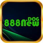 888New dog