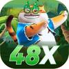 48x us
