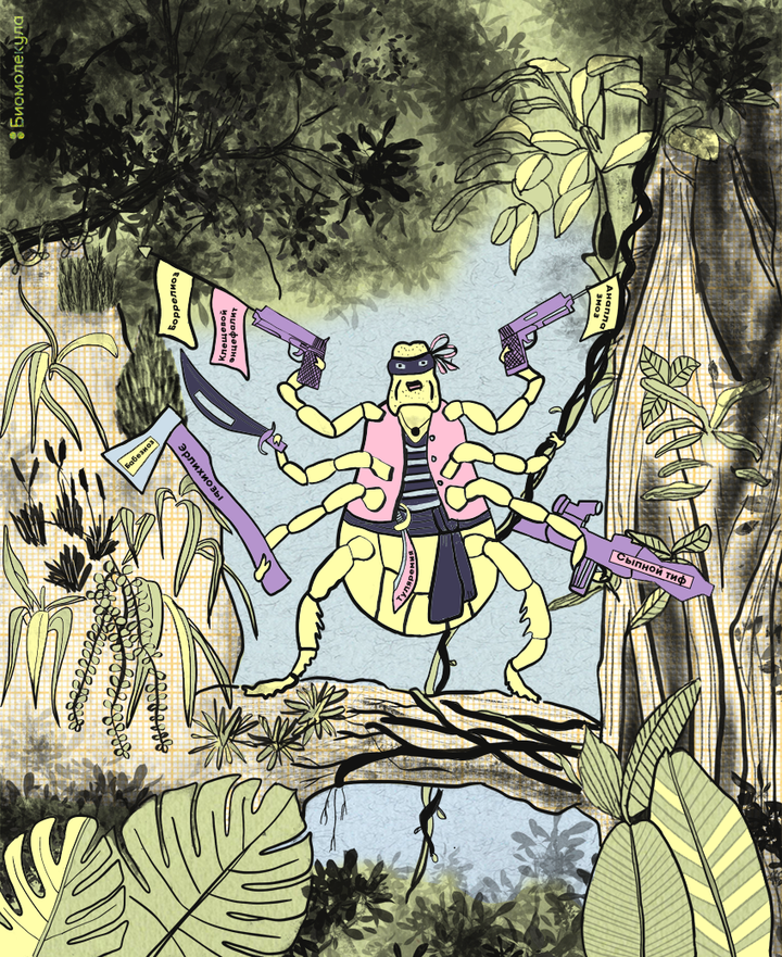 Клещевой энцефалит: крошечный укус — серьезные последствия