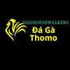 Đá Gà Trực Tiếp Thomo