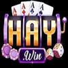 Haywin9 Io