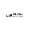 Global Wave Dynamics