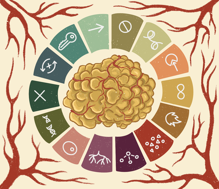 От медицинской онкологии к молекулярной биологии рака