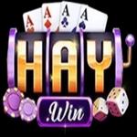 Haywin9 Io
