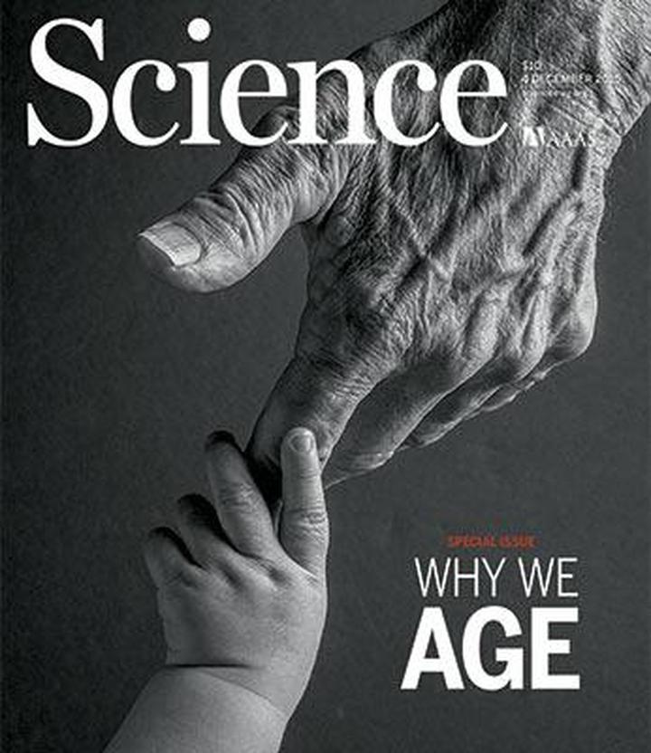 SciNat за декабрь 2015 #1: наука о старении, бактерии арабидопсиса, новые митохондрии для мышиных сердец