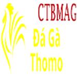 Đá Gà Trực Tiếp Thomo