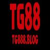 Tg888 blog