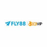 Fly888 it com