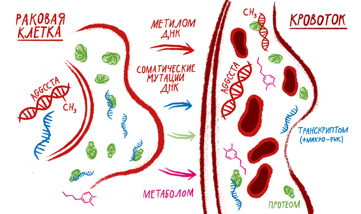 Омикс-биомаркеры и ранняя диагностика: когда счастье возможно