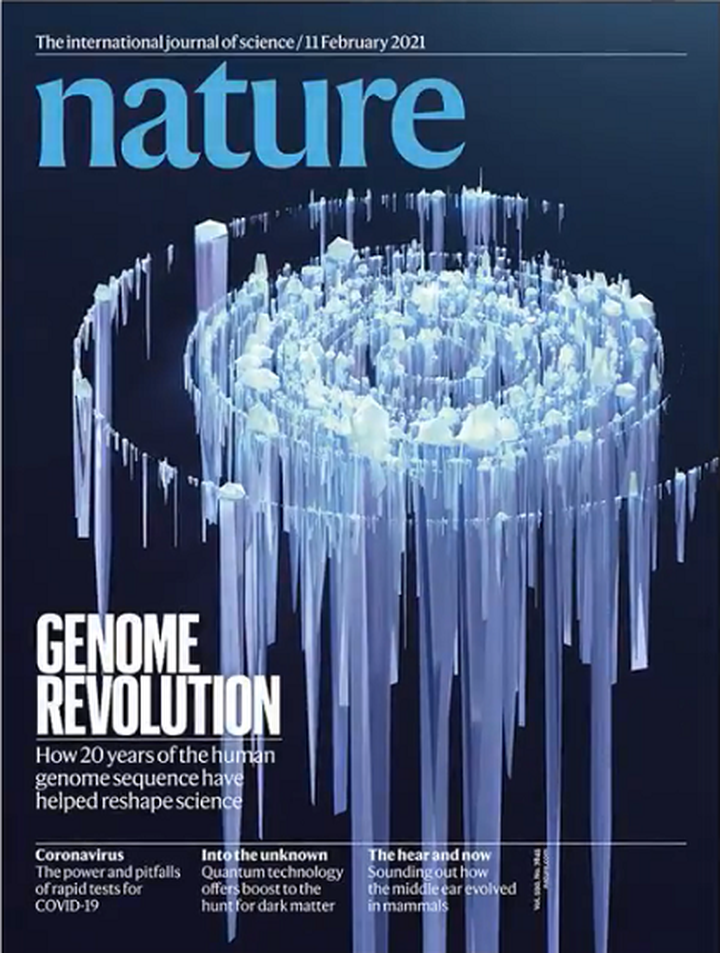 SciNat за февраль 2021 #2: структура механочувствительного канала, анатомия костного мозга и циркадные ритмы