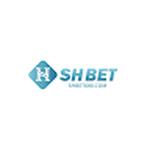 Shbet600 com